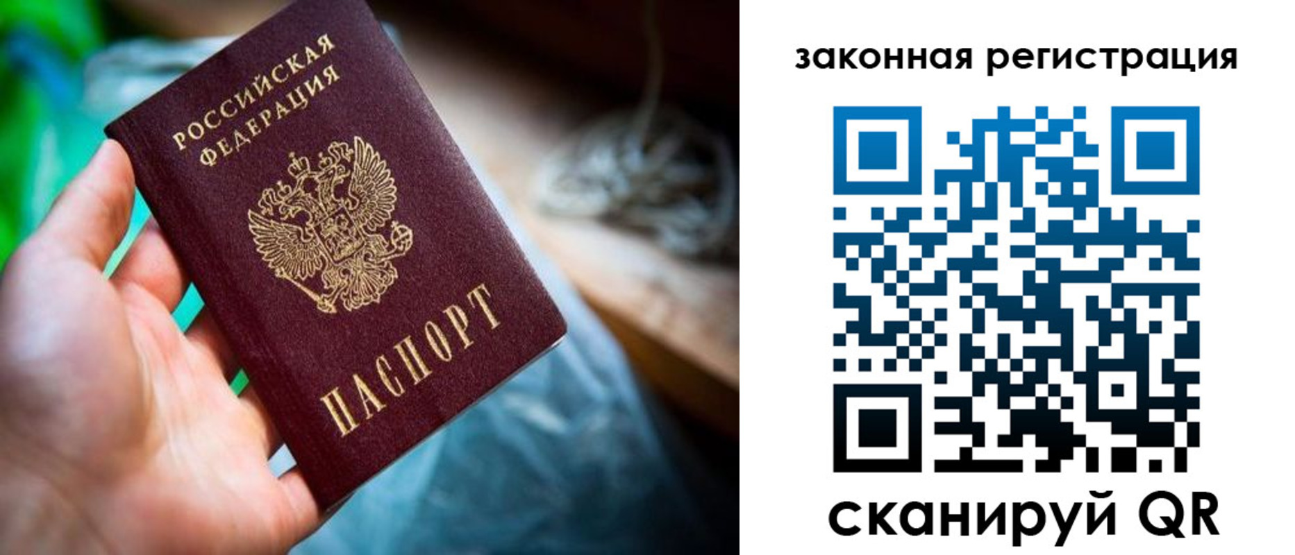 прописка в Сосновоборске